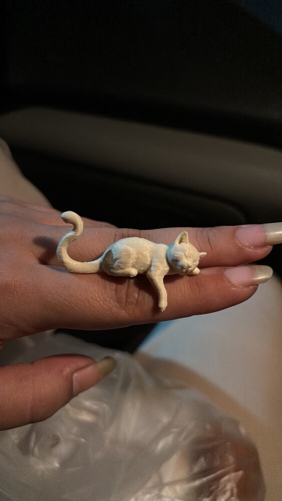 Pet Parents custom 3D printed products